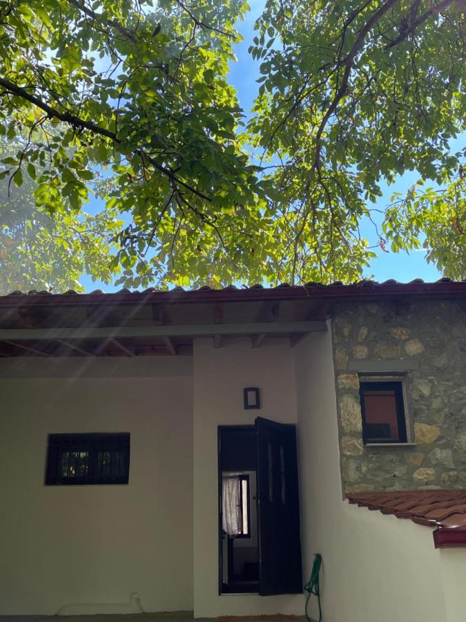 Stymfalia Cozy Village Guesthouse Karteri  Екстериор снимка